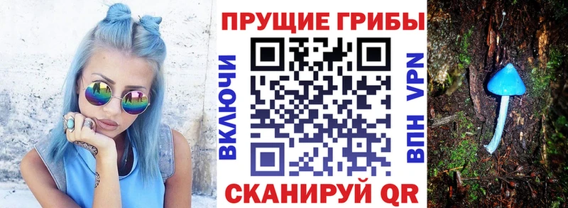 Псилоцибиновые грибы Psilocybine cubensis  Новоаннинский 